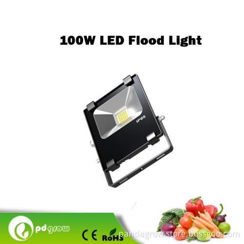 100W High Lumen Outdoor Waterproof IP65 CREE COB Ledflood Light